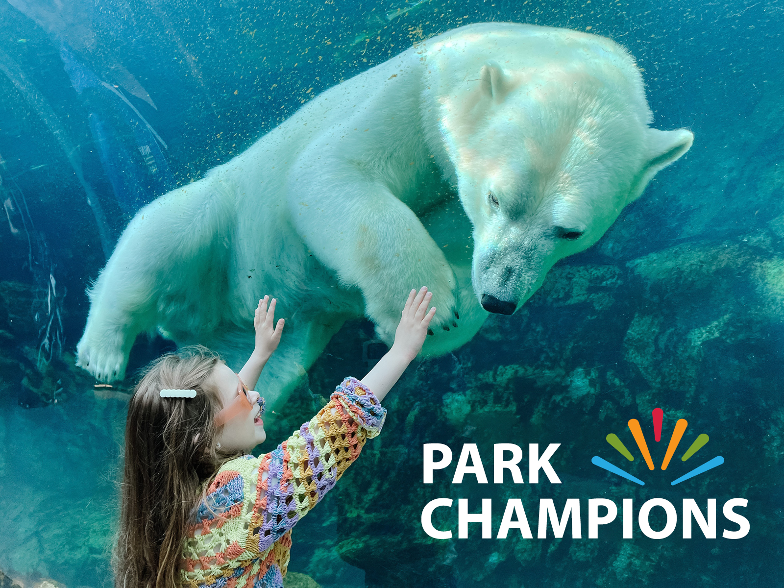 young girl reaches up towards a polar bear swimming above her head. A 'Park Champions" logo sits in the bottom right corner